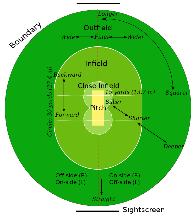 Apa peran pembatasan lapangan dalam kriket?